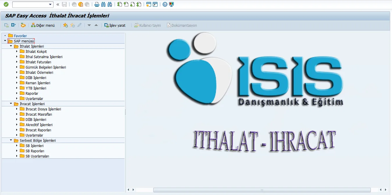 SAP İthalat Modülü Yönetim Ekranları
