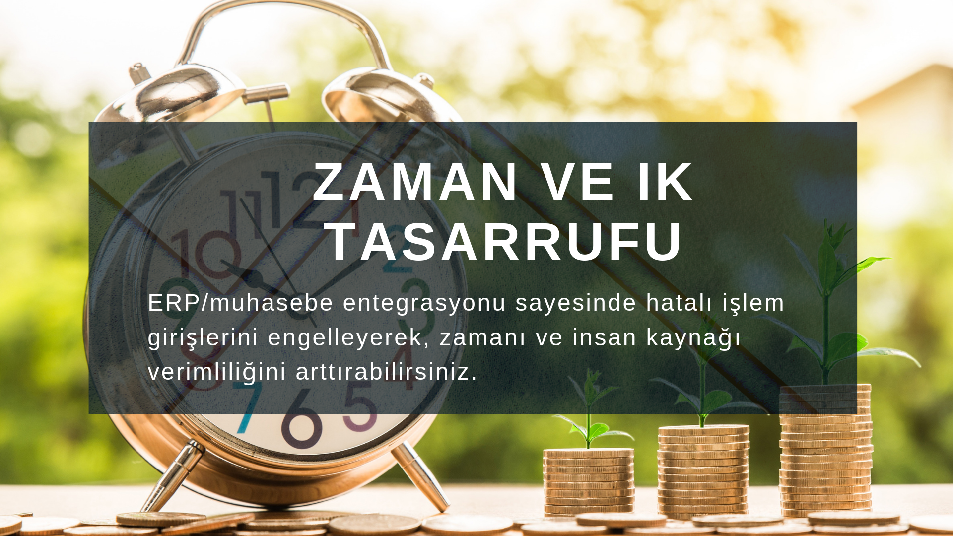 Banka Entegrasyonu, SAP Danışmanlık, Banka Hesap Hareketleri, Muhasebe ERP Entegrasyonu, Tek Panelden Banka Hesap Hareketlerinin Takibi, 